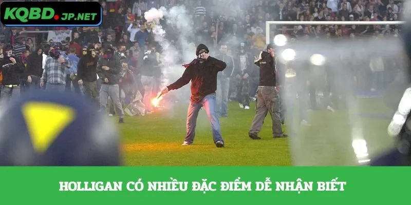 Holligan có nhiều đặc điểm dễ nhận biết