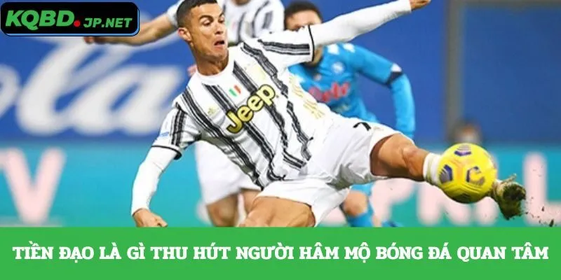 Tiền đạo là gì thu hút người hâm mộ bóng đá quan tâm
